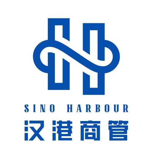 一般项目:企业管理咨询;财务咨询;咨询策划服务;信息技术咨询服务